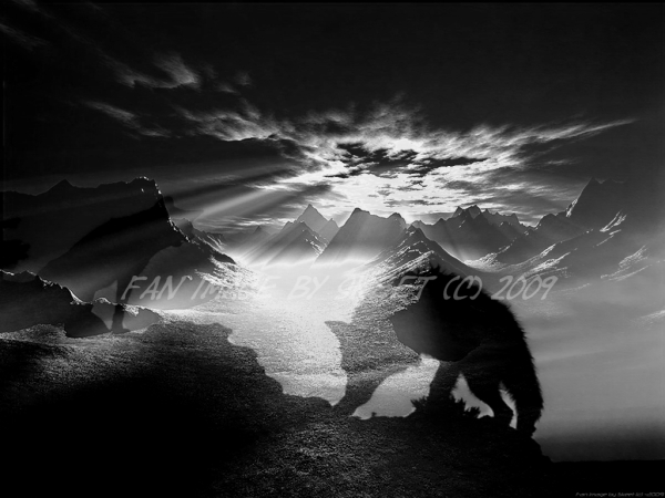 Sky Wolf by Skeet (c) 2009°.jpg