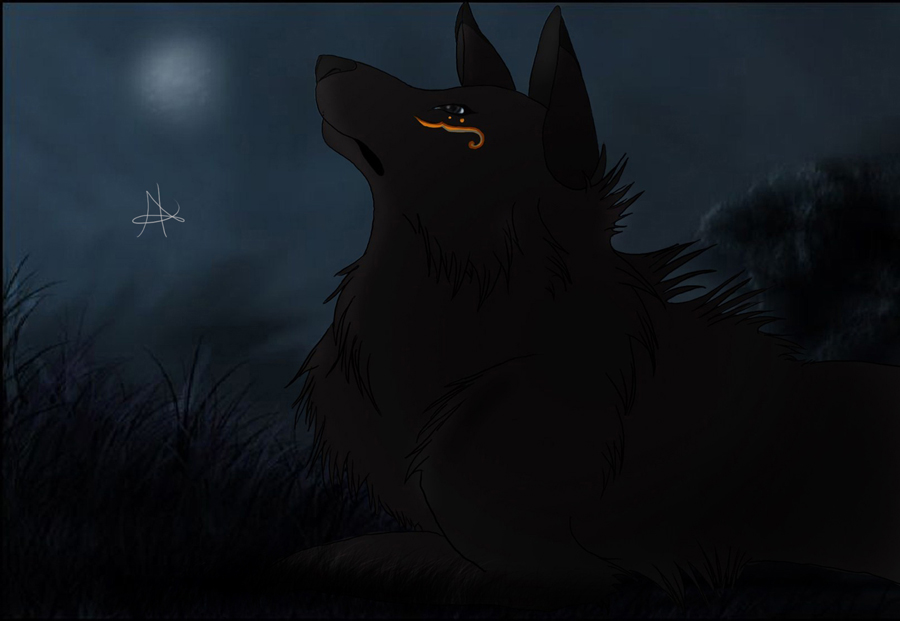 Aloka's-Distant-Shadows-Fin.jpg