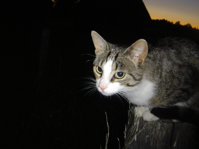 DSC09412.JPG