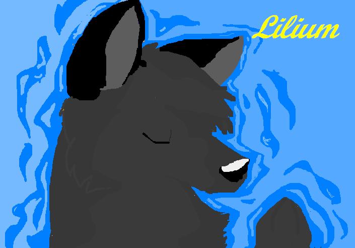 Kirana lilium.JPG