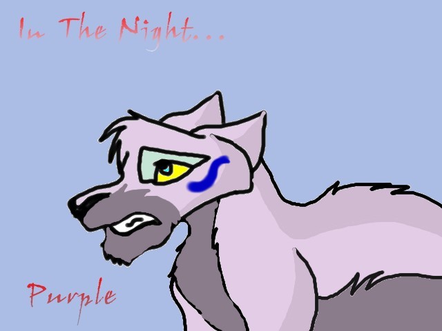 PurpleInTheNight.jpg