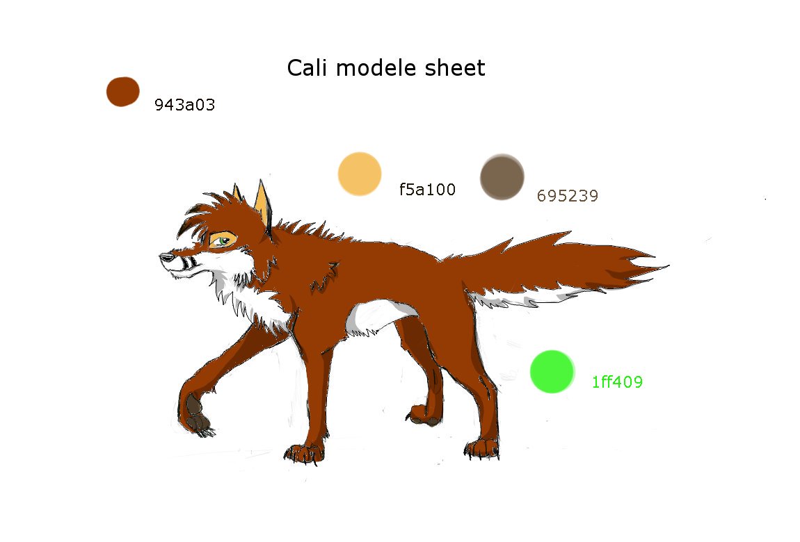 Cali modele sheet.jpg