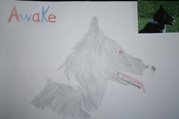 Awake dessin.jpg