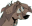 Bat