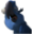 :icon363: