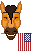 :SpiritPatriot:
