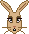 : PrimroseShock:
