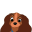 :icon983: