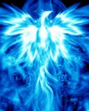 images/users/25700/1-2039979-1485-t.jpg