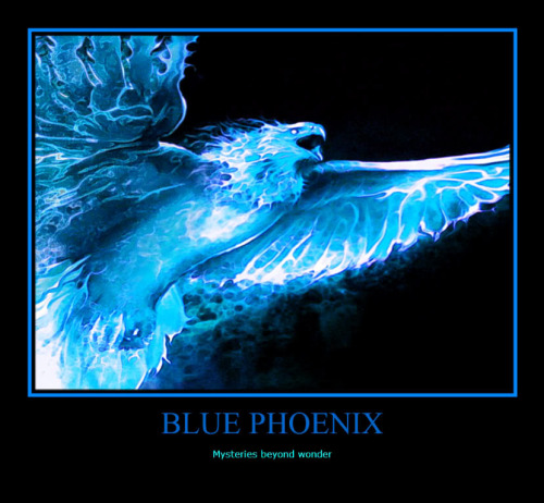 images/users/25700/276-1.jpg