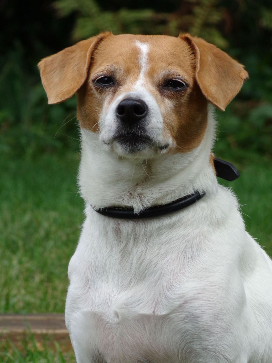 coco's primary photo