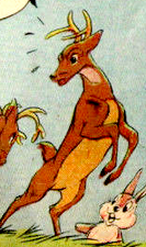 Fawn