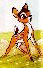 Geno