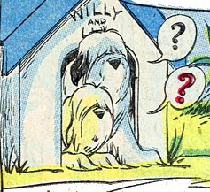 Dog