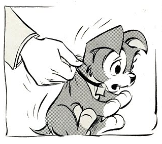 Scamp