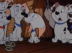 101 Dalmatians :  picture