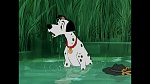 101 Dalmatians picture