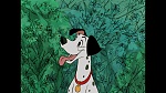 101 Dalmatians picture