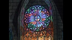101 Dalmatians picture