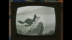 101 Dalmatians picture
