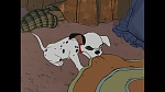 101 Dalmatians picture