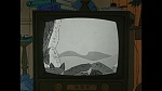 101 Dalmatians picture
