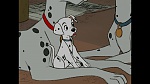 101 Dalmatians picture