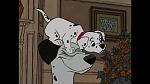 101 Dalmatians picture