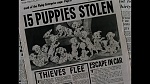 101 Dalmatians picture