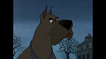 101 Dalmatians picture