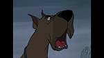 101 Dalmatians picture