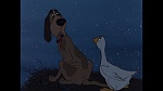 101 Dalmatians picture
