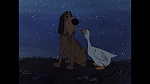 101 Dalmatians picture