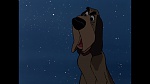 101 Dalmatians picture