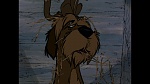 101 Dalmatians picture