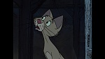 101 Dalmatians picture