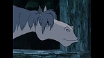Image 101 Dalmatians