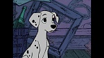 101 Dalmatians picture