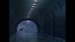 101 Dalmatians picture