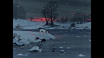 101 Dalmatians picture