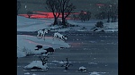 101 Dalmatians picture