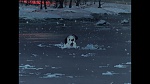 101 Dalmatians picture