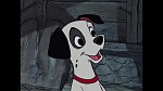 101 Dalmatians picture