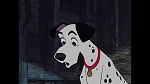 101 Dalmatians picture