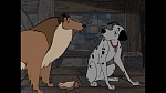 101 Dalmatians picture