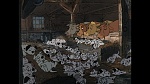 101 Dalmatians picture