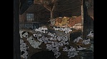 101 Dalmatians picture