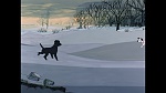 101 Dalmatians picture