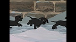 Image 101 Dalmatians