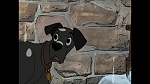 101 Dalmatians picture